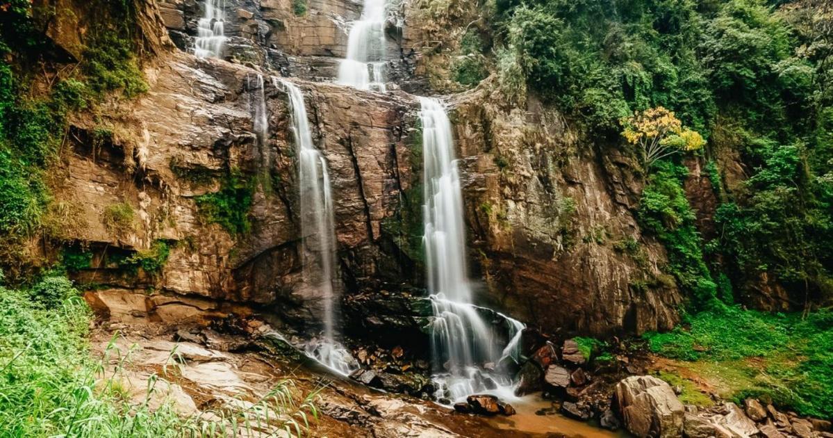 نوفارا إيلِيا Nature First Hotel المظهر الخارجي الصورة